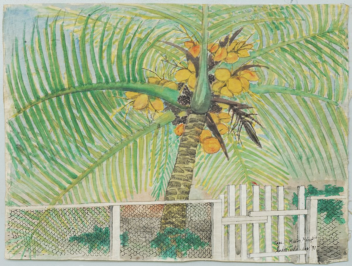 Impressionistic Botanical Watercolour By Gordon T., 20 X 15, Tree - Mersing, Malaysia, Original Artwork