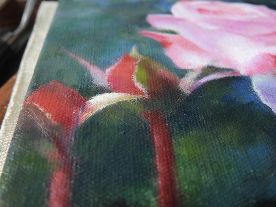 Roses and the Stream of Time