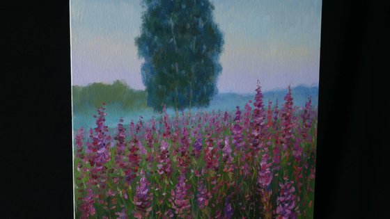 The Morning Over The Fireweed Field - summer landscape painting