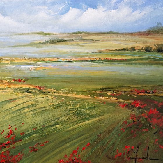 Where The Poppies Dance