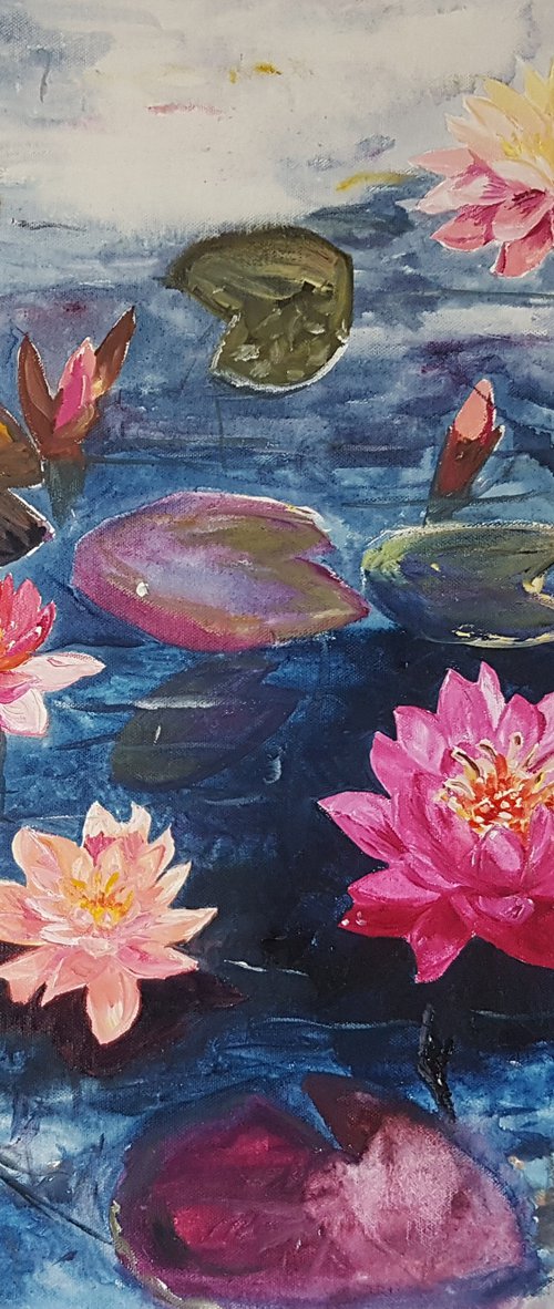 Water lilies: Like jewels on the water by Kathrin Flöge