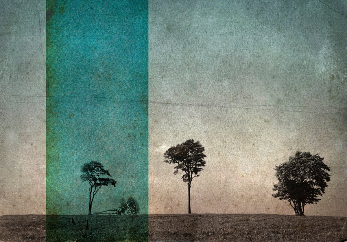 Landscape Photograph By Claire Newman-Williams, 24 X 18, Fallen Angel, Original Artwork