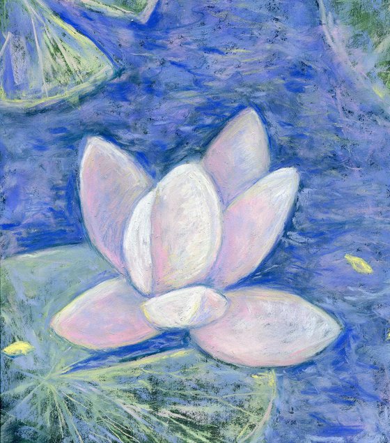 Soft pastel white water lily
