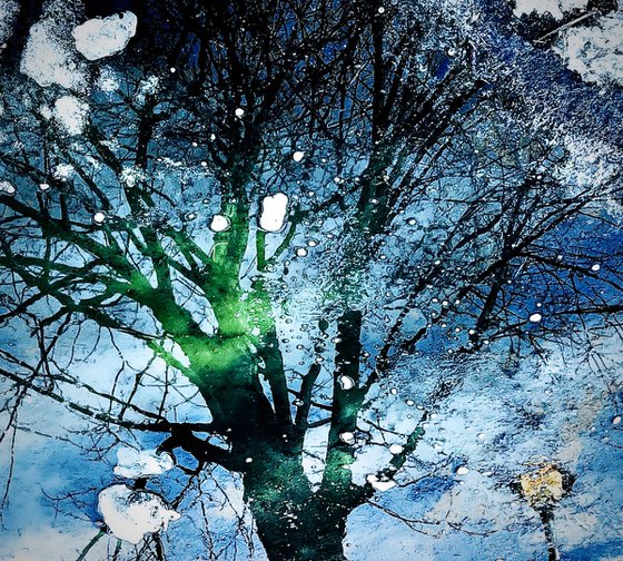 Astral Roots
