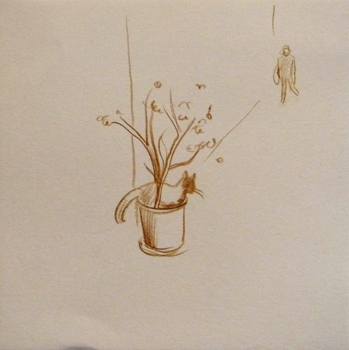 Cat in the flower pot, 20x20 cm by Frederic Belaubre