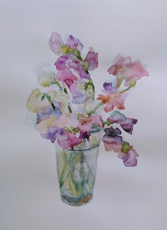 Sweet pea (Charming). Original watercolour painting. 2021