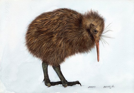 KIWI BIRD CCXV