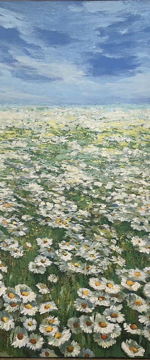 Ocean of Daisy by Anna Reznikova