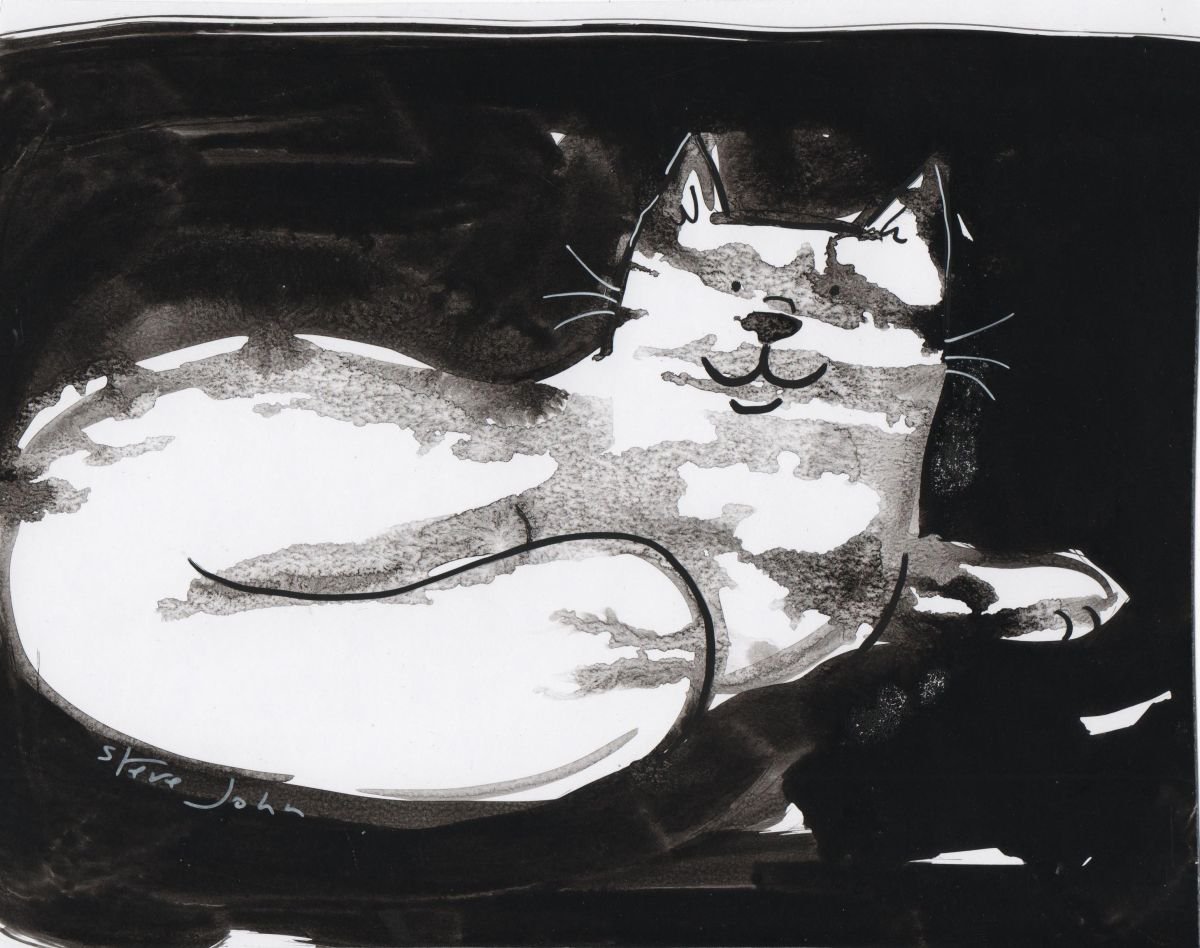 Sam the cat, Ink with ink washes by Steve John