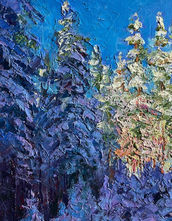 Winter in the Forest