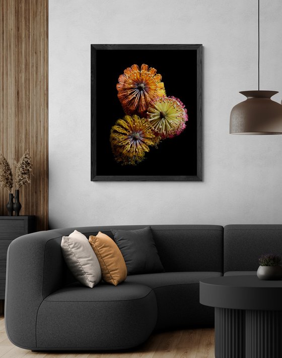Three Banksias