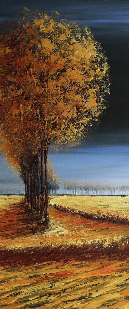 The Lines of Autumn  II - Fields and Colors Series by Danijela Dan