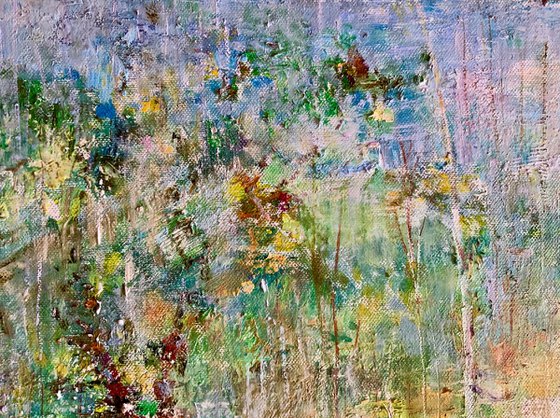 Forest Stream