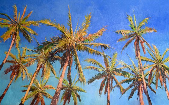 Coconut Palm Trees