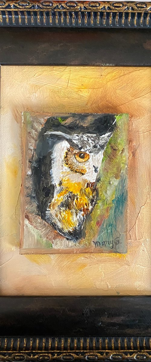 Hiding Owl Original Oil painting 5x7 on gessoed panel board by Mary Gullette