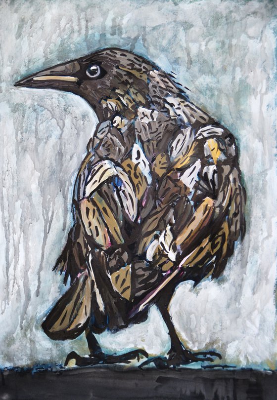 Raven / 50 x 35 cm