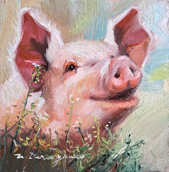 Pig portrait