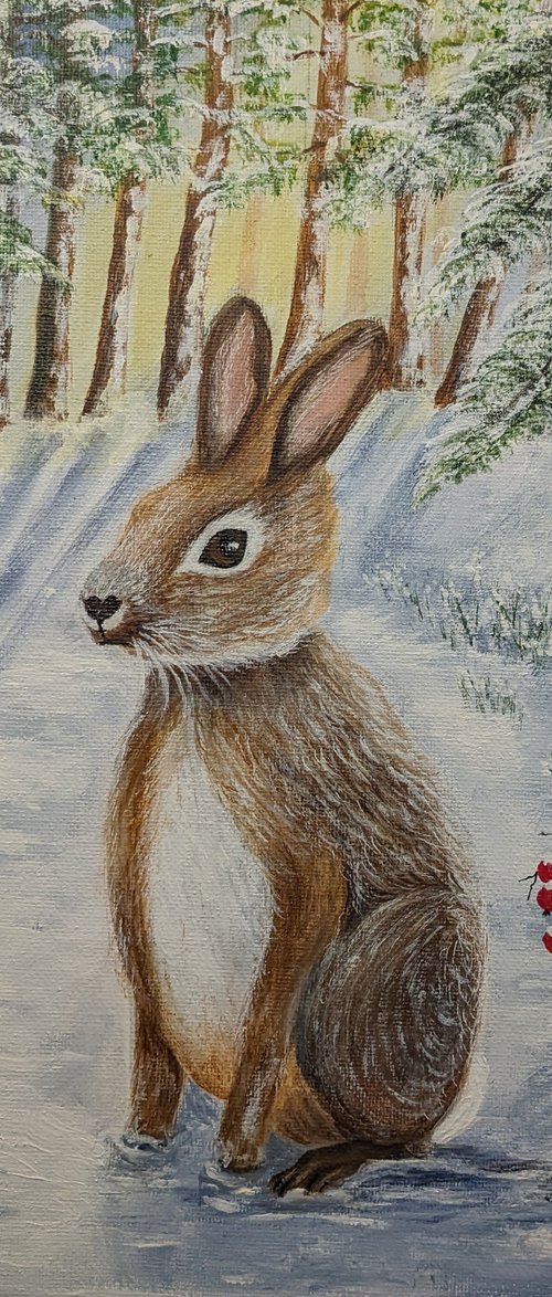 Bunny in the Snow by Anne-Marie Ellis