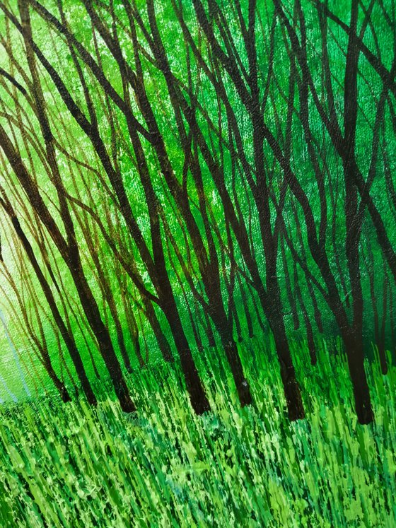 Tanglewood and Evergreen
