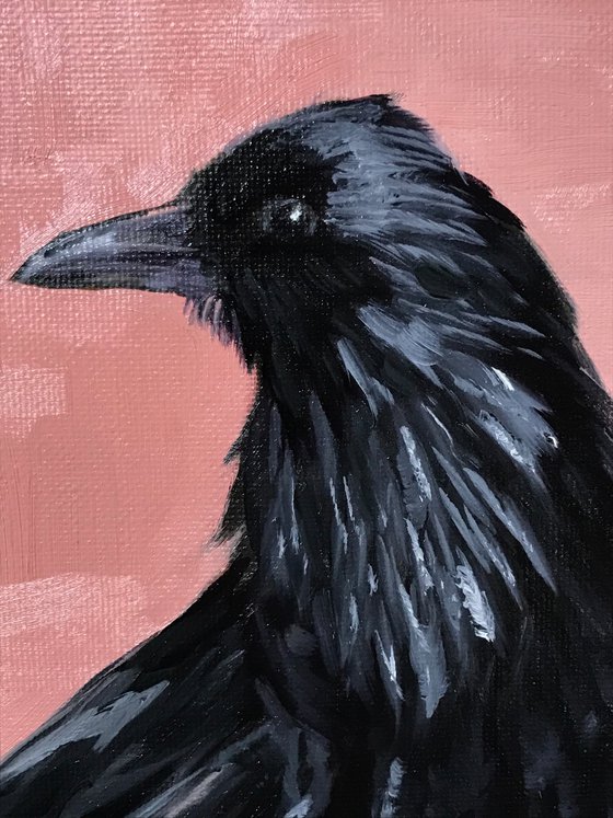 Crow on pink