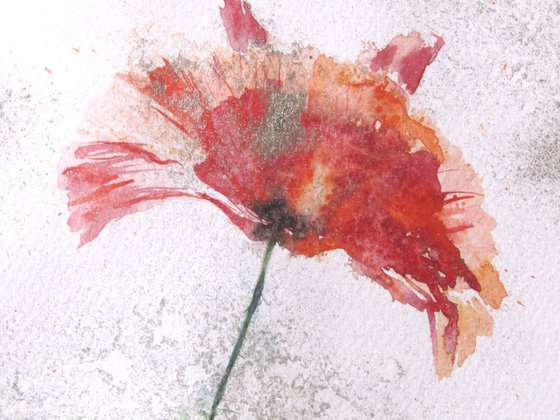 Poppies in silver