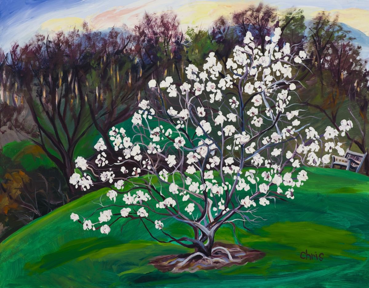 Impressionistic Landscape Oil Painting By Christina M Plichta, 30 X 24, Magnolia Hill, Original Artwork