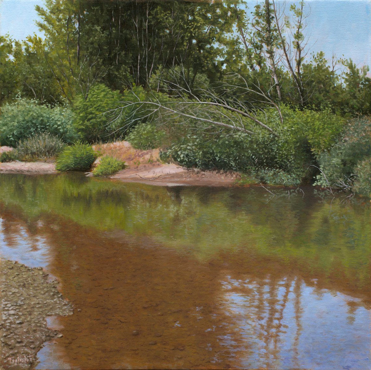 Lost River by Dejan Trajkovic