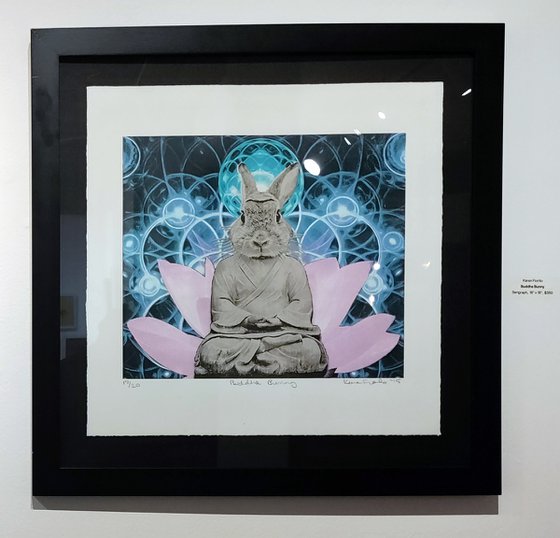 Buddha Bunny