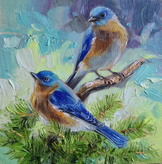 Two Bluebirds