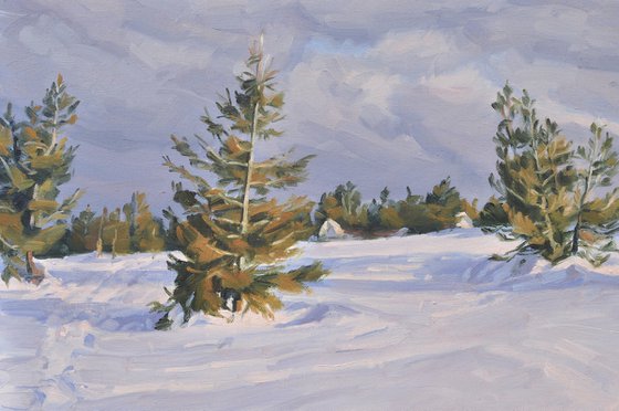 Mount Mézenc in snow, evening clouds