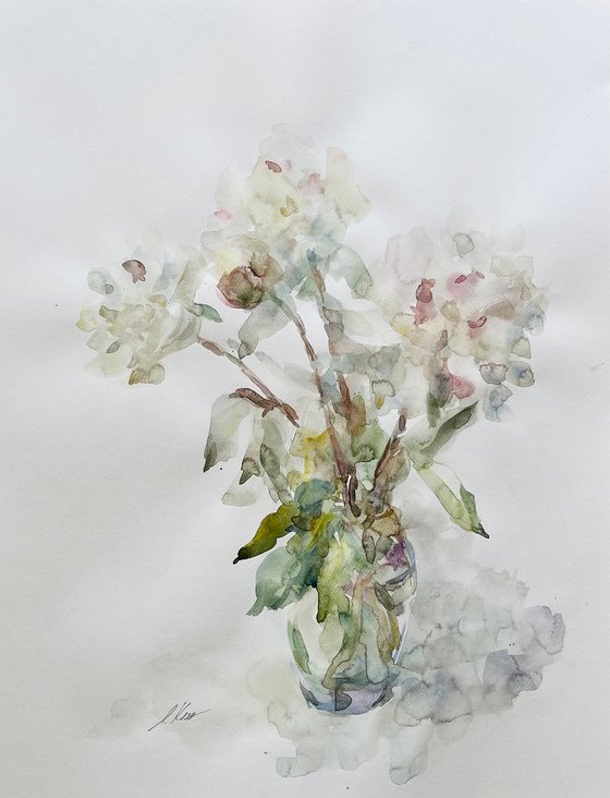 Peonies 50x65 cm 2025