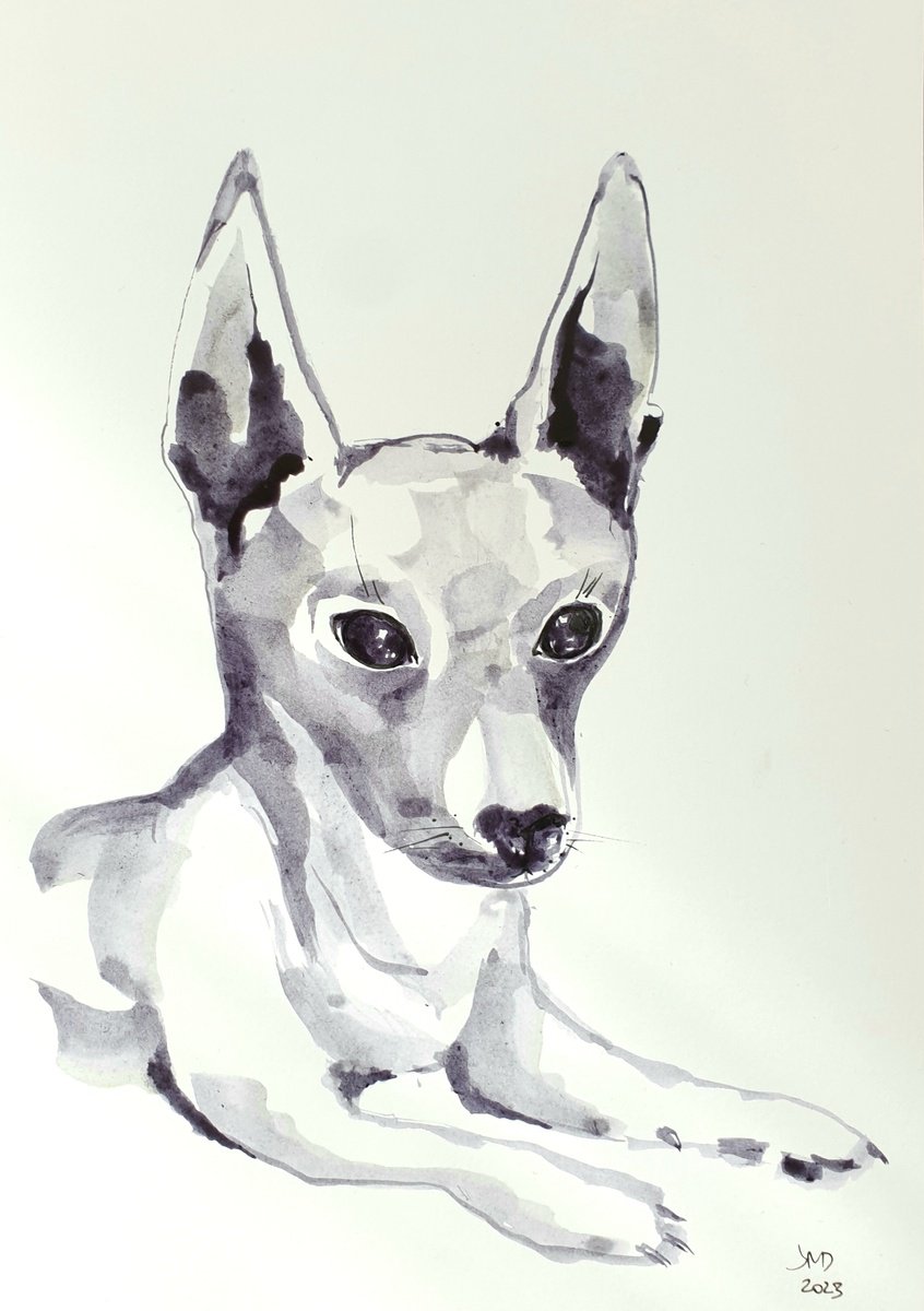 Graphic Animal Ink Drawing By Ksenia June, 6 X 8", Small Dog Portrait, Original Artwork
