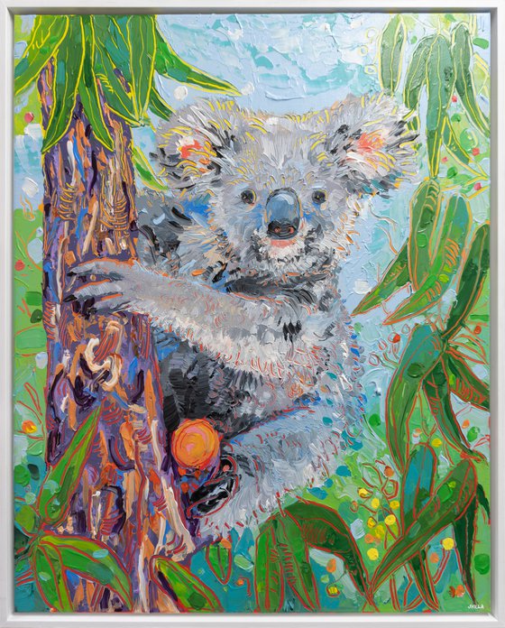 Koala