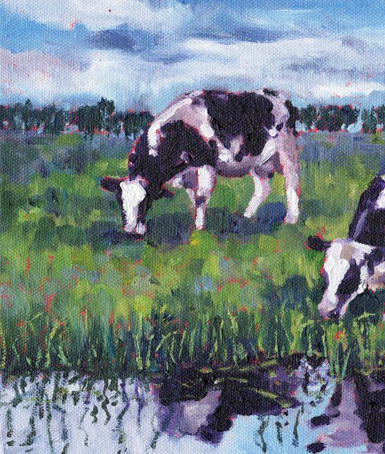 Cattle in Water Meadow