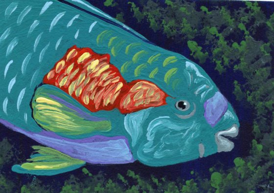 Parrotfish