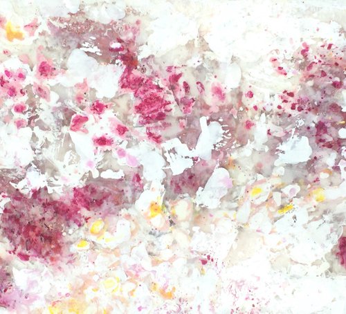 Snow Rose by Angelika Millmaker