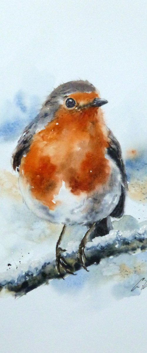 A Winters Robin by Graham Kemp