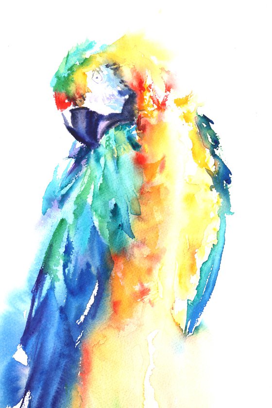 The Other Macaw