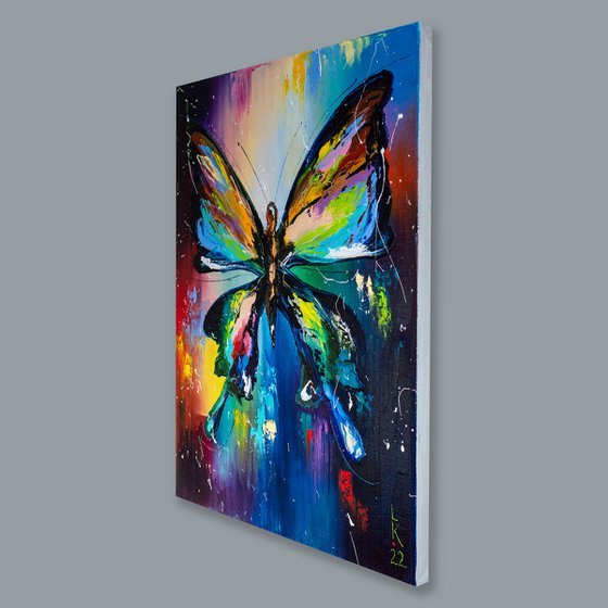 Colorful butterfly