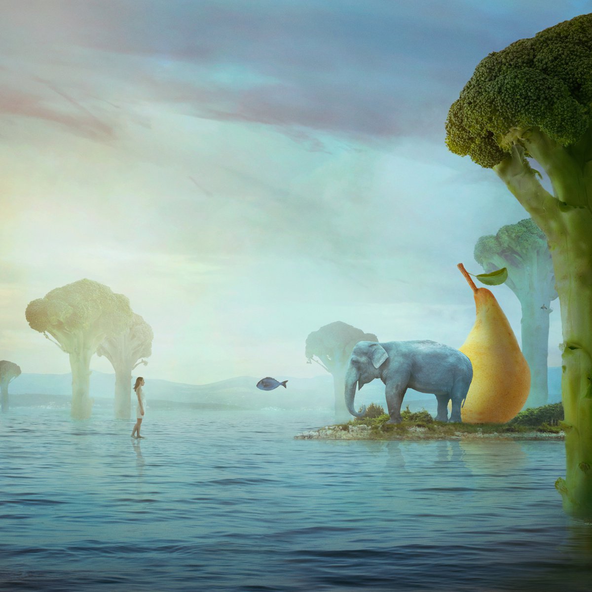 Surrealistic Animal Photograph By Nikolina Petolas, 22 X 22", The Island, Original Artwork