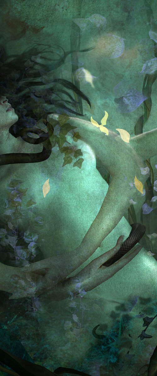 Midsummer night dream by J. Gierat