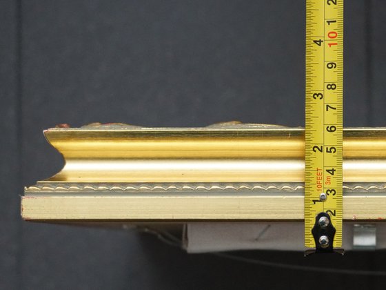 Snow-covered pine trees in Kuzminki Park