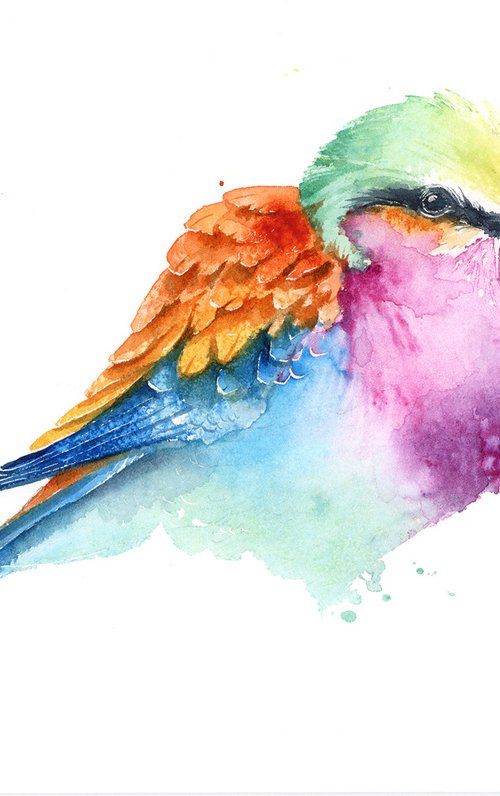 Lilac breasted roller, wildlife, birds watercolours by Karolina Kijak