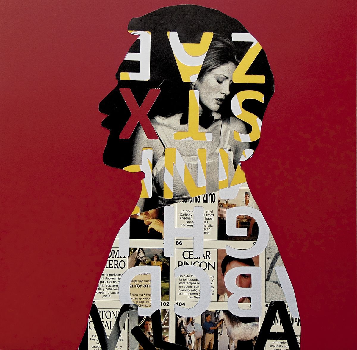 Urban And Pop Portrait Collage By Manel Villalonga, 12 X 12", 185 Red Portrait, Original Artwork