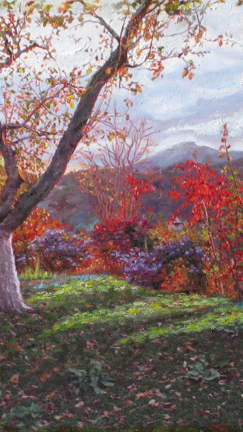 Mountains of romania by Elvira Sesenina