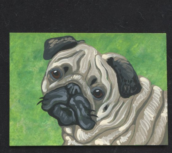 ACEO ATC Original Miniature Painting Fawn Pug Pet Dog Art-Carla Smale