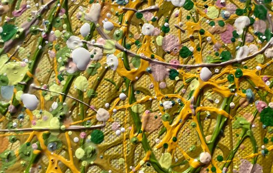 Where Rain Turns to Light