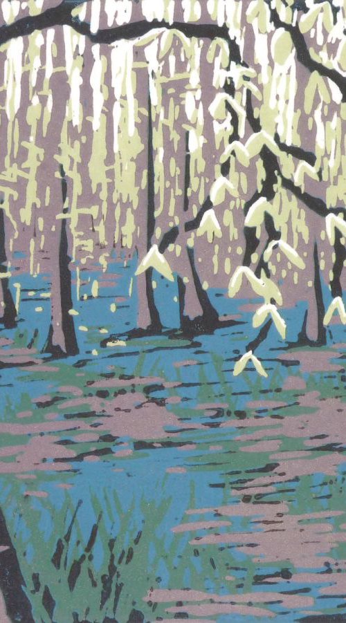 Stoke Woods in Spring by Alexandra Buckle