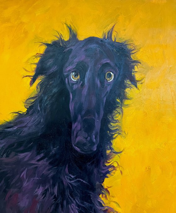 Black Hound on Yellow