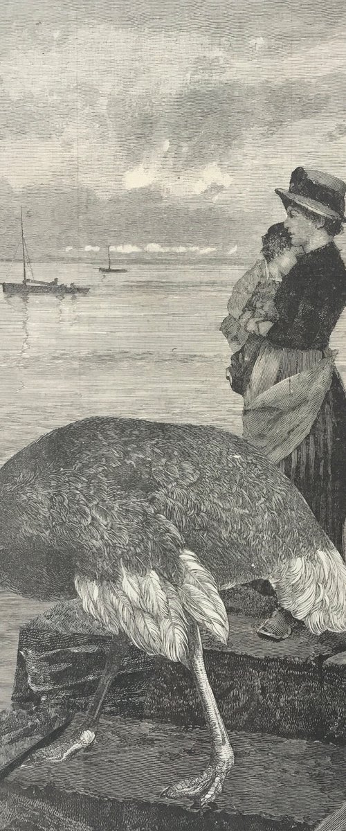 Looking out to sea by Tudor Evans